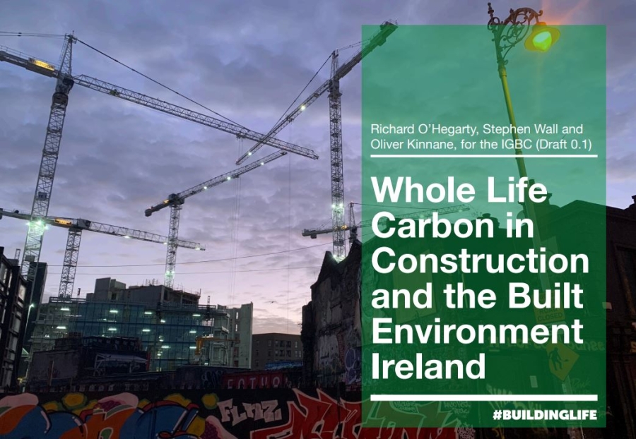 Whole Life Carbon in Construction and the Built Environment Ireland