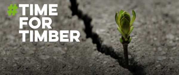 Now is the time for Timber
