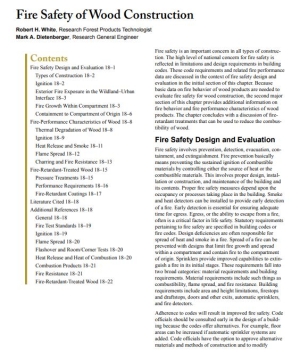Fire Safety of Wood Construction
